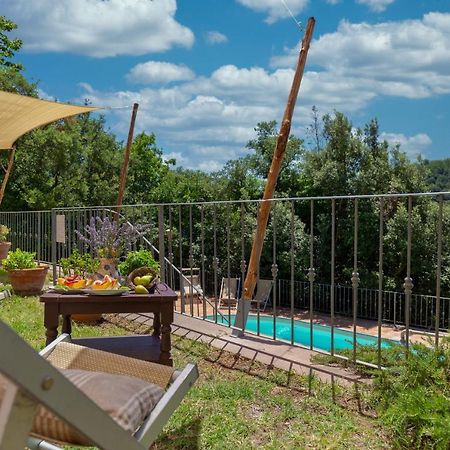 Locanda Degli Alberi Sassetta Ngoại thất bức ảnh