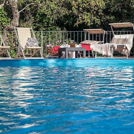 Locanda Degli Alberi Sassetta Ngoại thất bức ảnh