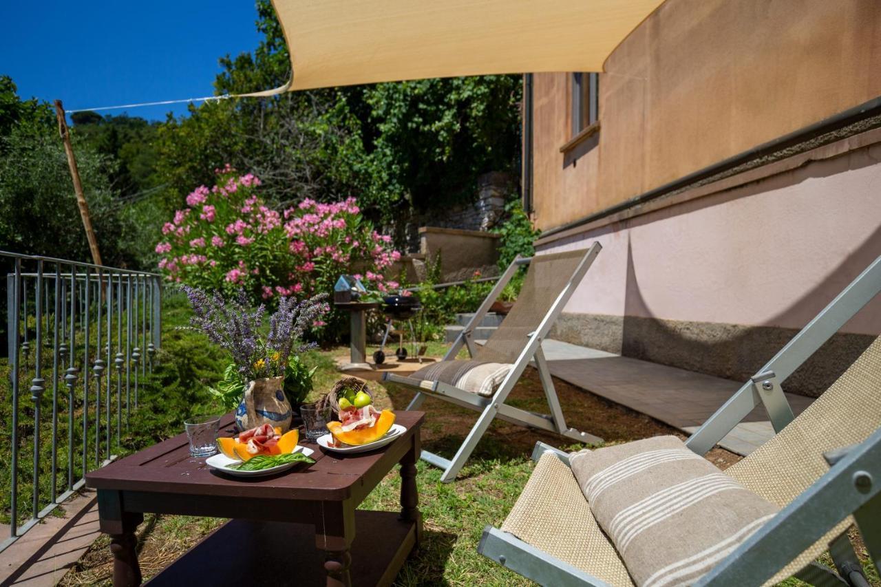 Locanda Degli Alberi Sassetta Ngoại thất bức ảnh