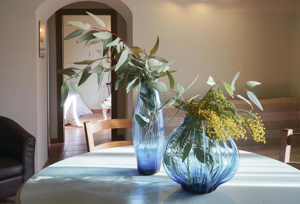 Locanda Degli Alberi Sassetta Ngoại thất bức ảnh