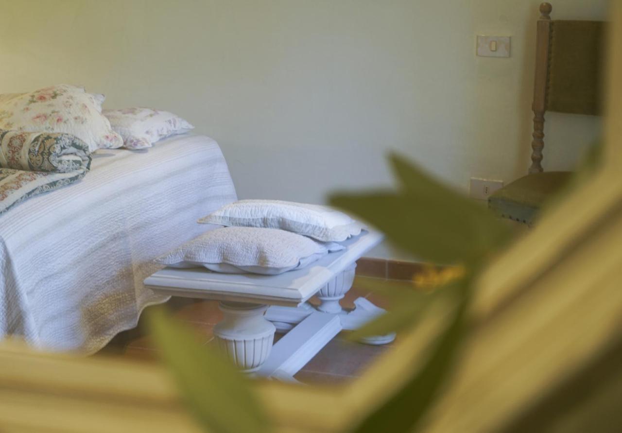 Locanda Degli Alberi Sassetta Ngoại thất bức ảnh