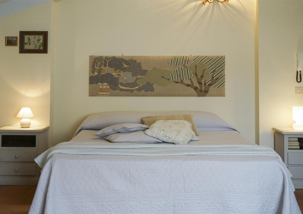 Locanda Degli Alberi Sassetta Ngoại thất bức ảnh