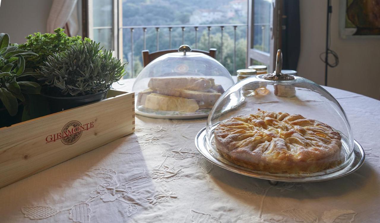 Locanda Degli Alberi Sassetta Ngoại thất bức ảnh