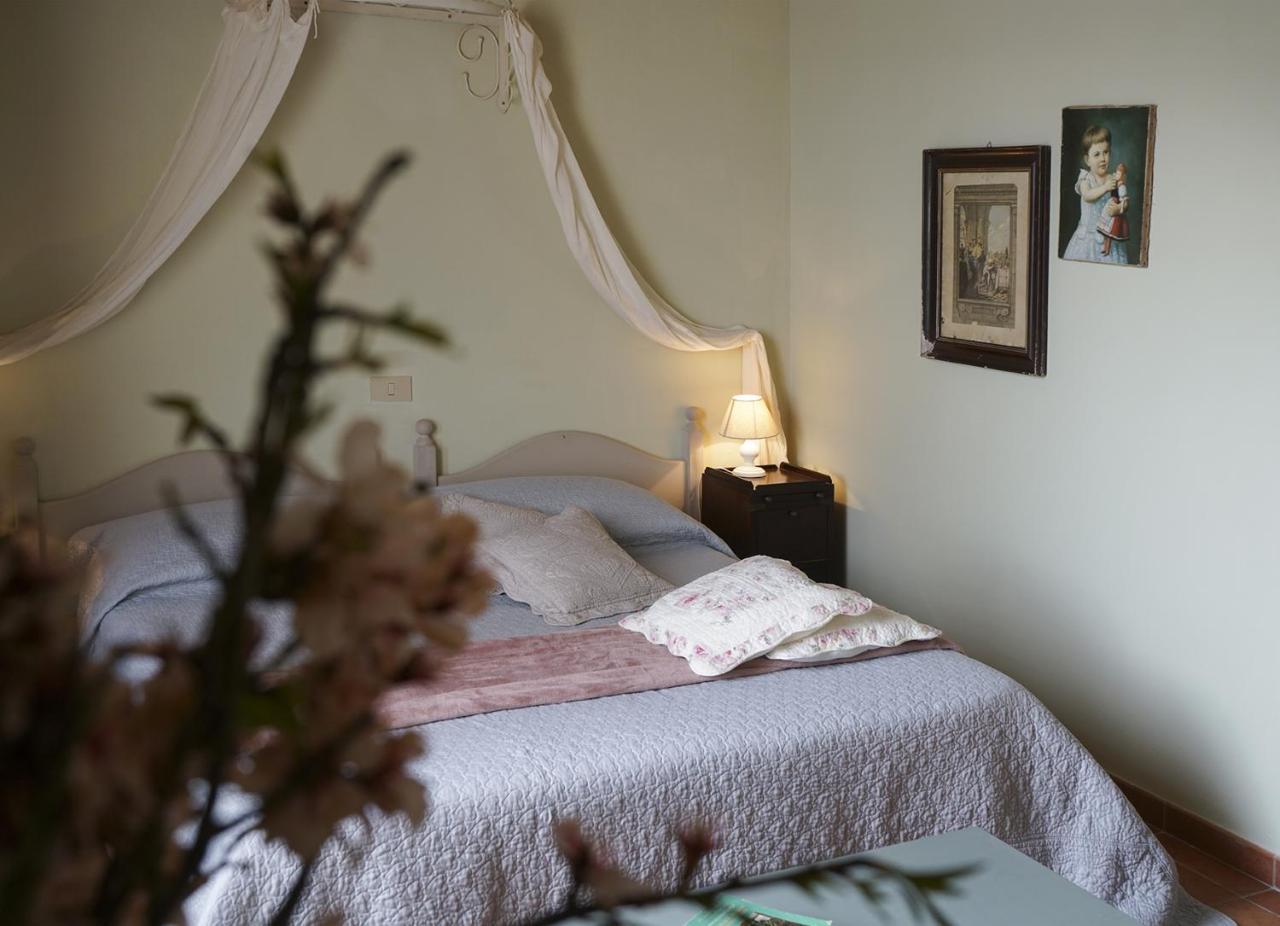 Locanda Degli Alberi Sassetta Ngoại thất bức ảnh