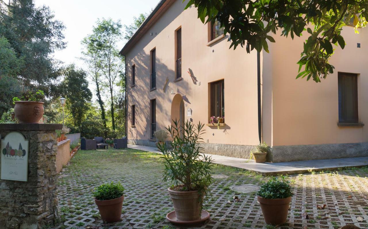 Locanda Degli Alberi Sassetta Ngoại thất bức ảnh